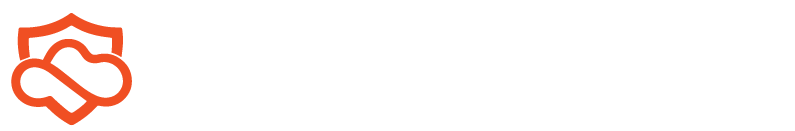 Cyber Arch Logo